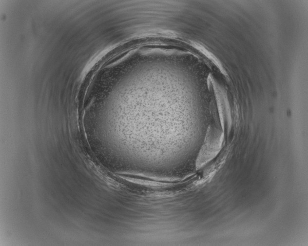 X0000080200877200612221403