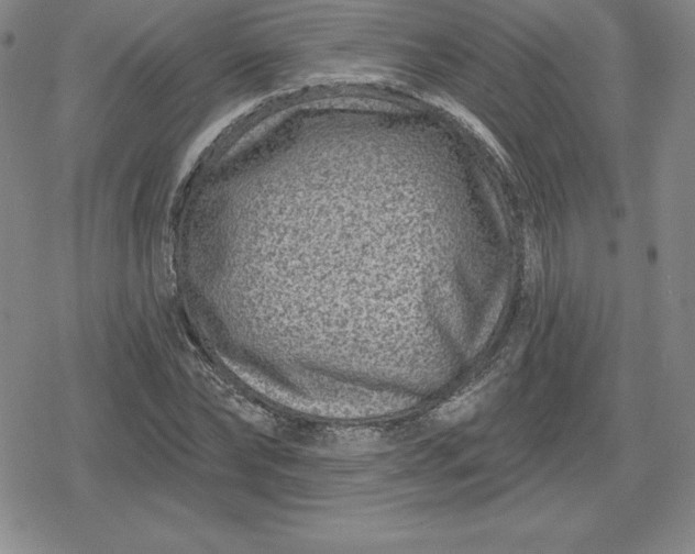 X0000080200878200612221403