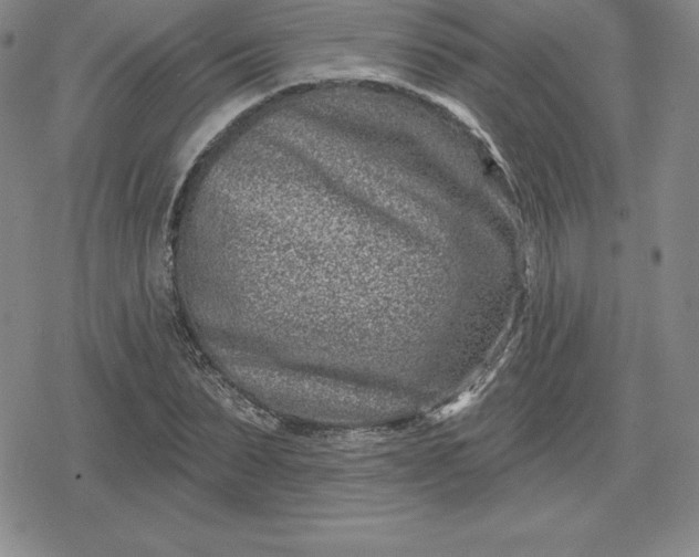 X0000080200879200612221403