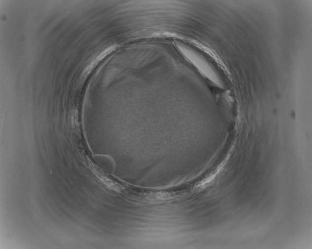 X0000080200881200612221403