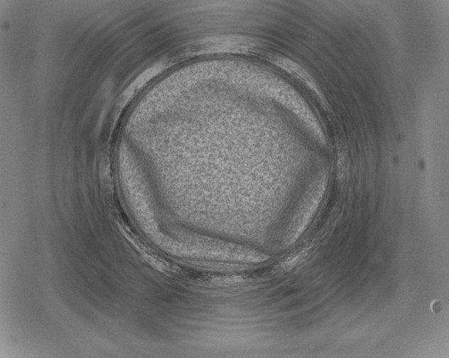 X0000080200882200612221403