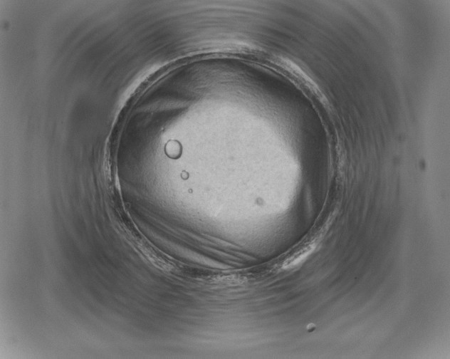 X0000080200883200612221403