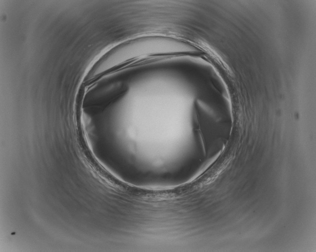 X0000080200884200612221403