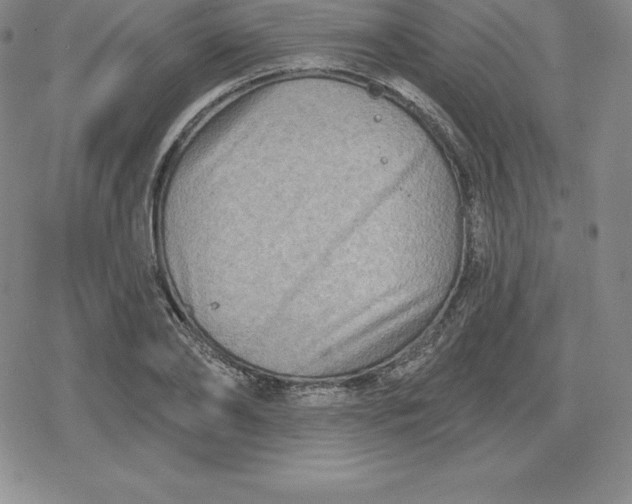 X0000080200886200612221403