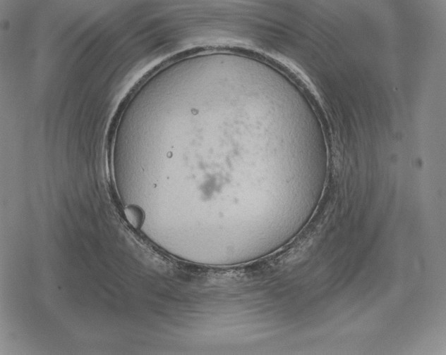 X0000080200887200612221403