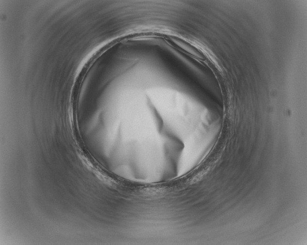 X0000080200888200612221403