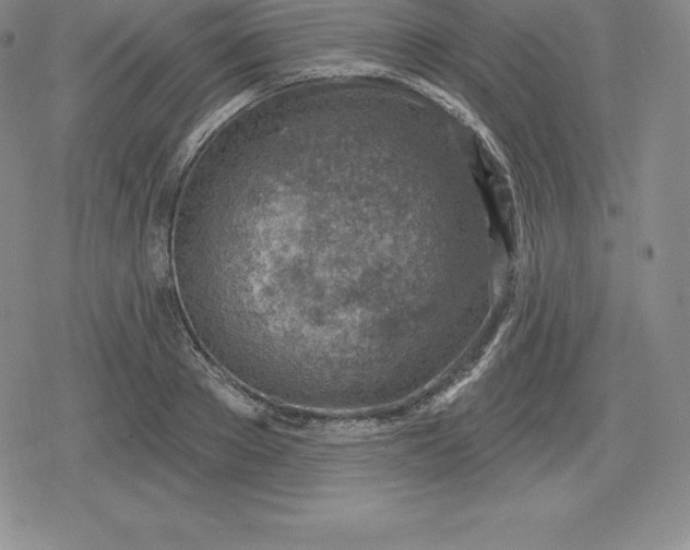 X0000080200889200612221403