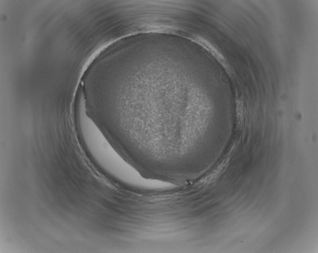 X0000080200891200612221403