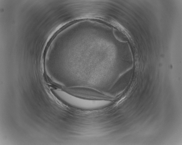 X0000080200892200612221403