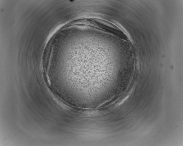 X0000080200893200612221403