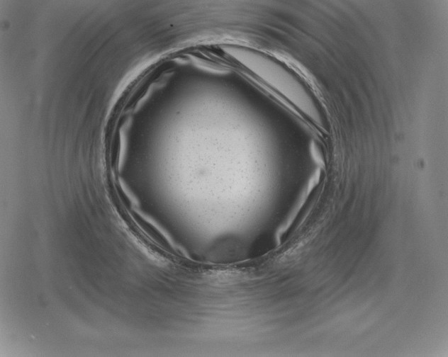 X0000080200894200612221403