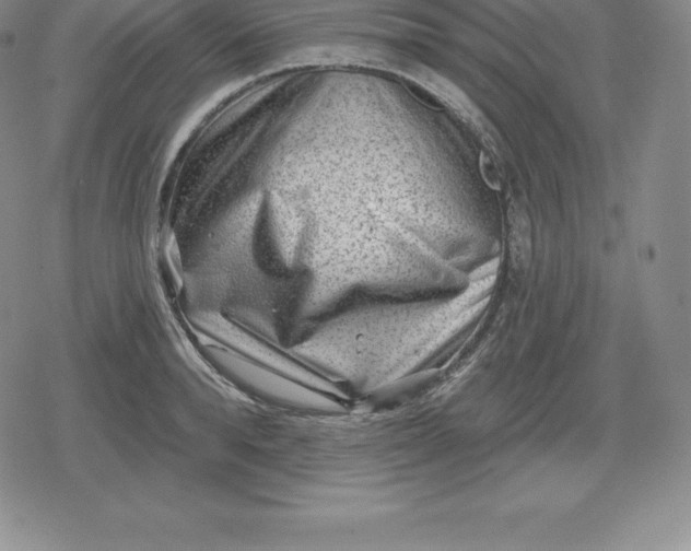 X0000080200896200612221402