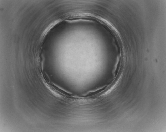 X0000080200897200612221402