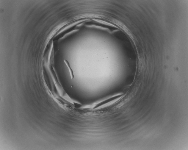 X0000080200898200612221402