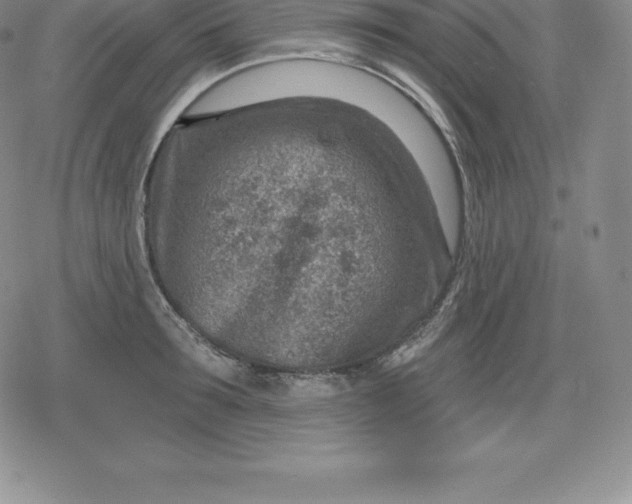 X0000080200899200612221402