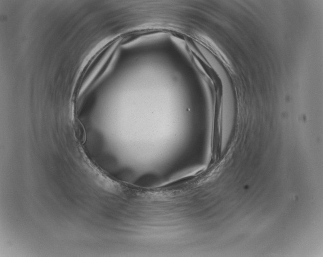 X0000080200900200612221402