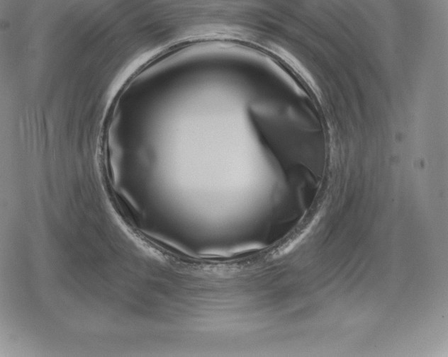 X0000080200901200612221402