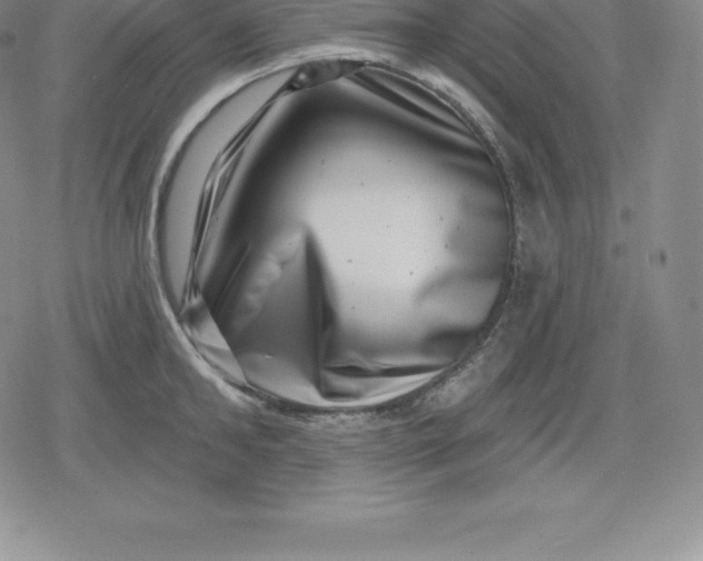 X0000080200902200612221402