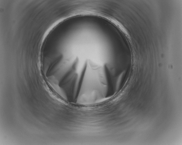 X0000080200904200612221402