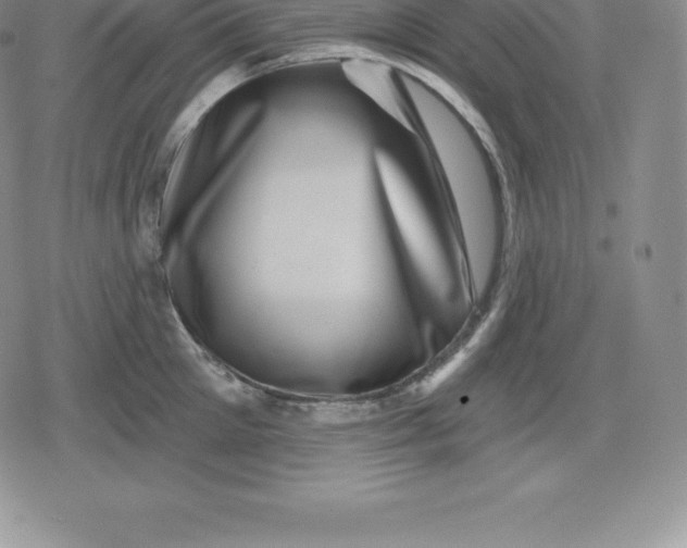 X0000080200905200612221402