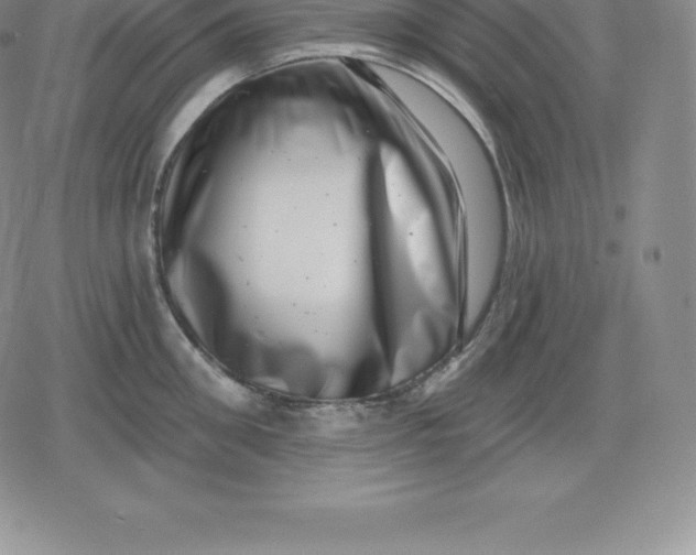 X0000080200906200612221402