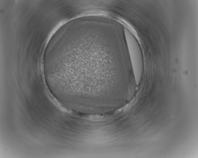 X0000080200907200612221402