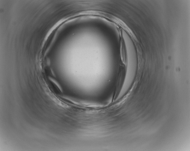 X0000080200908200612221402