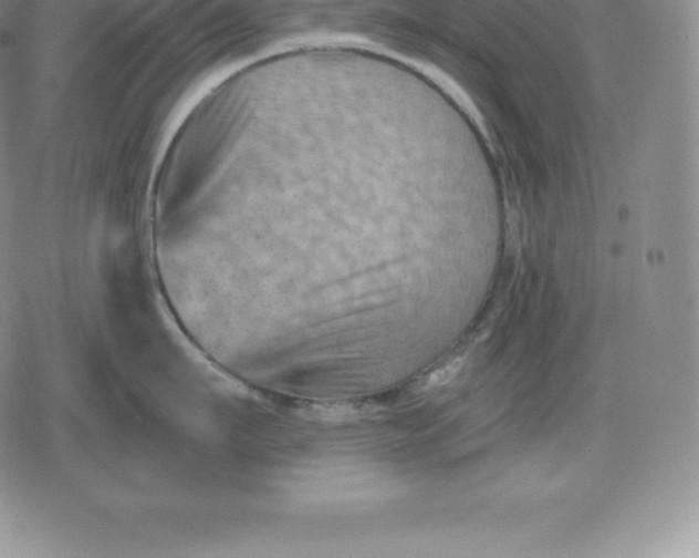 X0000080200911200612221402