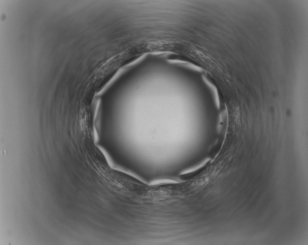 X0000080200914200612221401