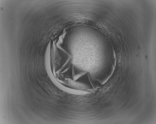 X0000080200916200612221401