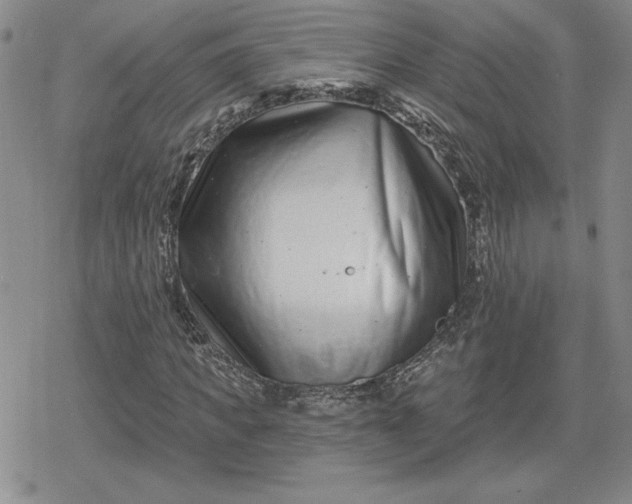 X0000080200917200612221401