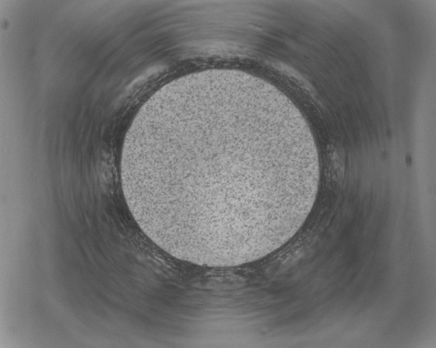 X0000080200918200612221402