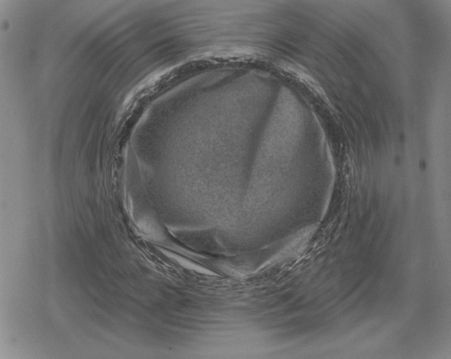 X0000080200920200612221402