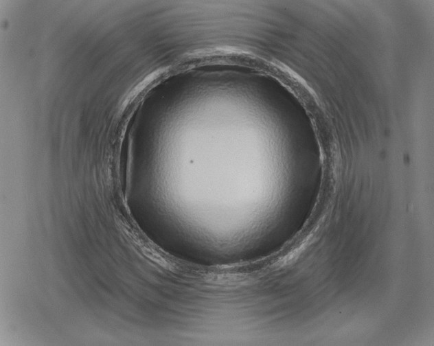 X0000080200921200612221402