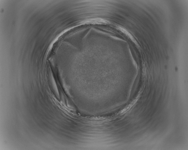 X0000080200923200612221402