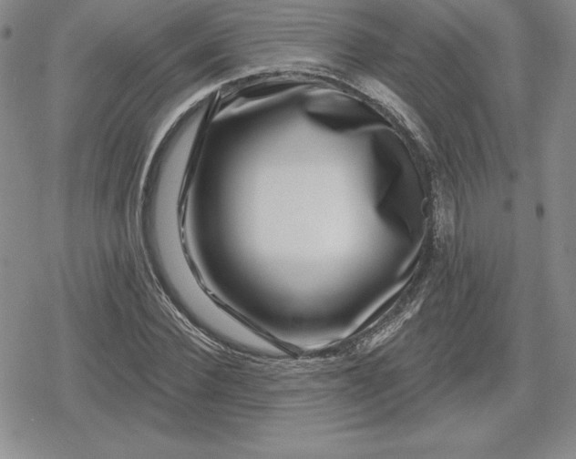 X0000080200924200612221402