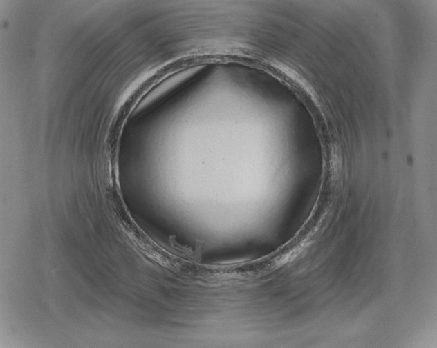 X0000080200925200612221402