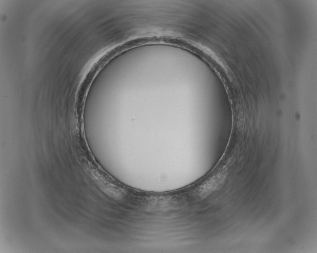 X0000080200927200612221402