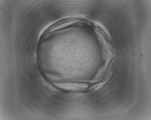 X0000080200928200612221402