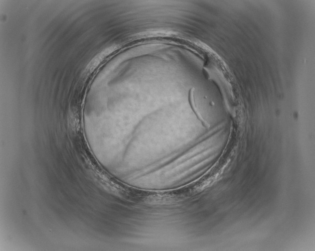 X0000080200929200612221402