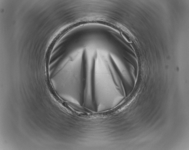 X0000080200934200612221402