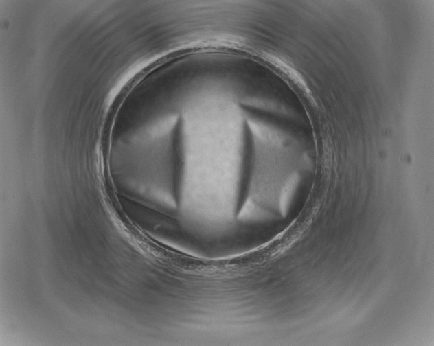 X0000080200936200612221402