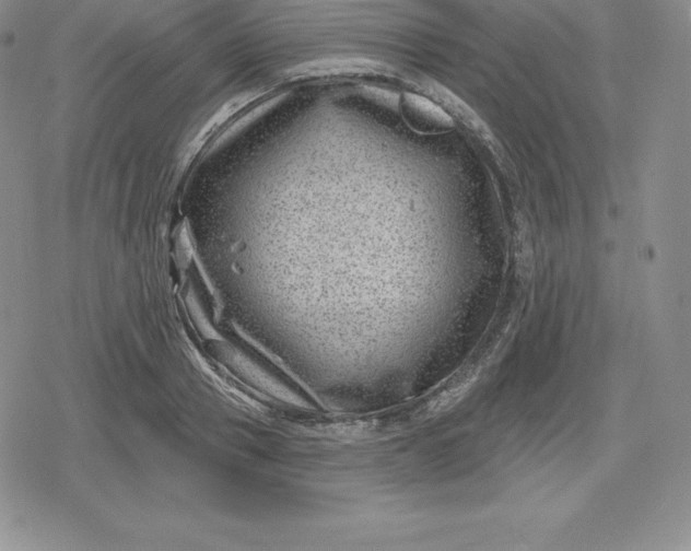 X0000080200937200612221402