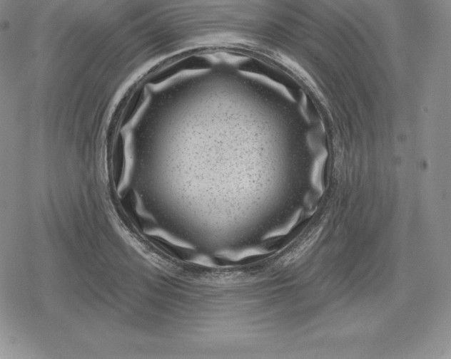 X0000080200939200612221402