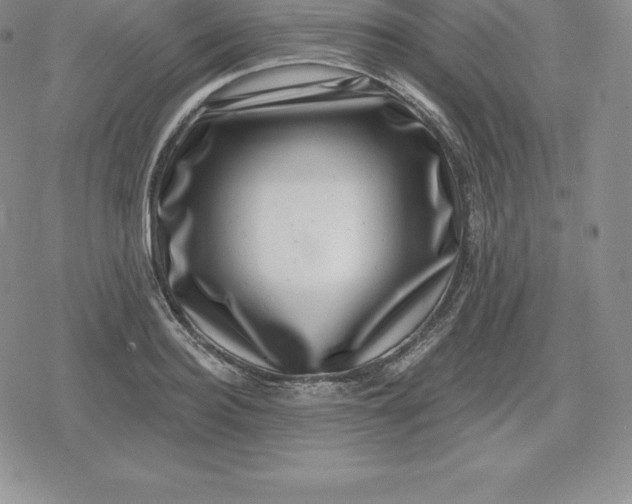 X0000080200940200612221402