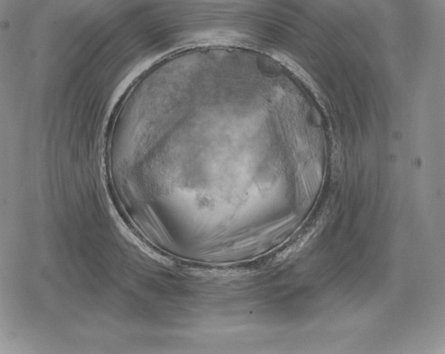 X0000080200941200612221402