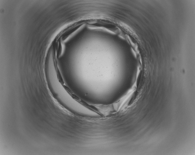 X0000080200942200612221402