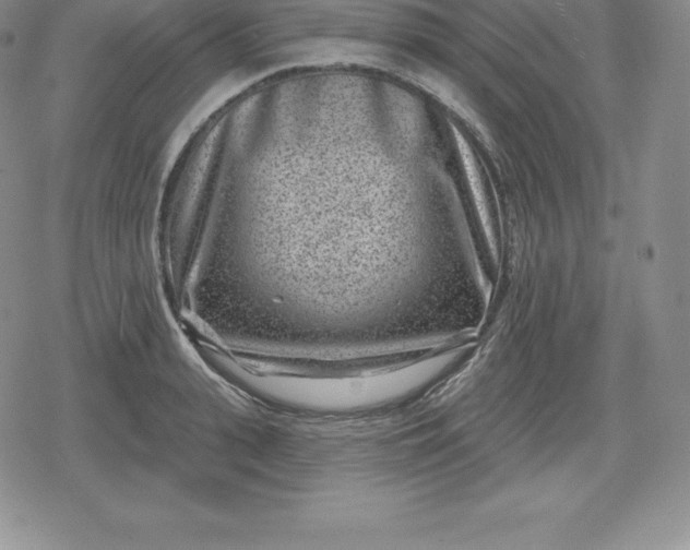 X0000080200943200612221402