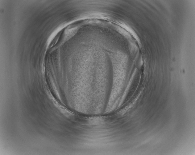 X0000080200944200612221402