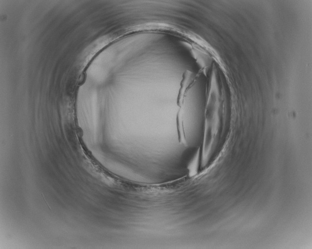 X0000080200945200612221402